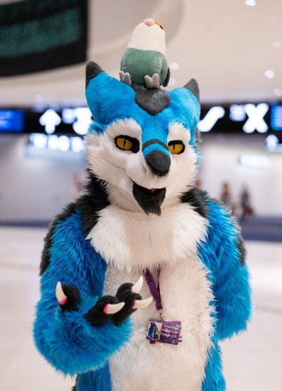Sergal- 2023+2024 // Pic @gryphonfluff